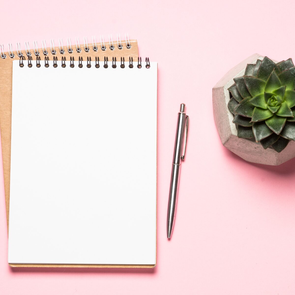 Pink Surface with blank notepad a grey ped and a green succulent